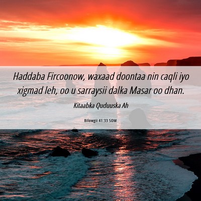 Picture 06 - Bilowgii 41:33 SOM - Haddaba Fircoonow, waxaad doontaa nin caqli iyo - Bible Verse Picture