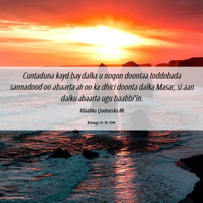 Picture 06 - Bilowgii 41:36 SOM - Cuntaduna kayd bay dalka u noqon doontaa - Bible Verse Picture