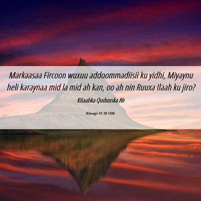 Picture 06 - Bilowgii 41:38 SOM - Markaasaa Fircoon wuxuu addoommadiisii ku yidhi, - Bible Verse Picture