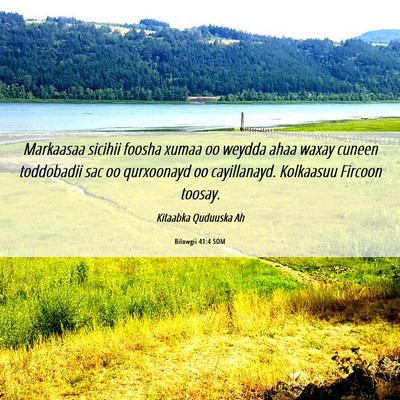 Picture 06 - Bilowgii 41:4 SOM - Markaasaa sicihii foosha xumaa oo weydda ahaa - Bible Verse Picture