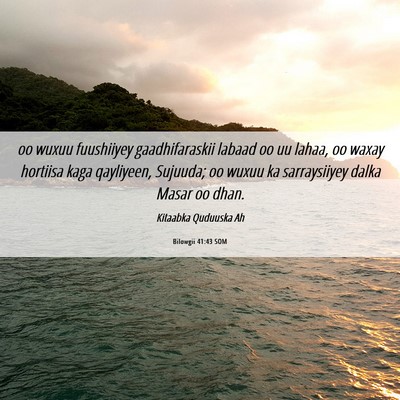 Picture 06 - Bilowgii 41:43 SOM - oo wuxuu fuushiiyey gaadhifaraskii labaad oo uu - Bible Verse Picture