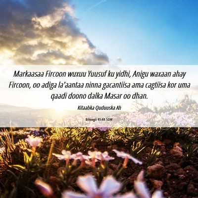 Picture 06 - Bilowgii 41:44 SOM - Markaasaa Fircoon wuxuu Yuusuf ku yidhi, Anigu - Bible Verse Picture
