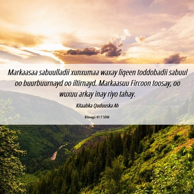 Picture 06 - Bilowgii 41:7 SOM - Markaasaa sabuulladii xunxumaa waxay liqeen - Bible Verse Picture