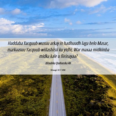 Picture 06 - Bilowgii 42:1 SOM - Haddaba Yacquub wuxuu arkay in hadhuudh laga helo - Bible Verse Picture