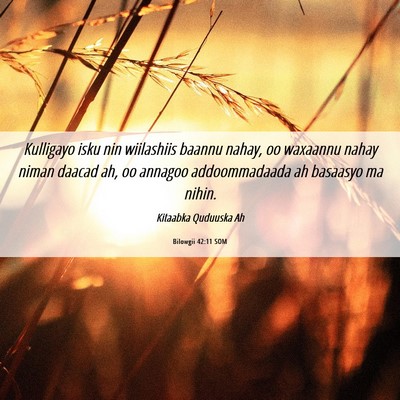 Picture 06 - Bilowgii 42:11 SOM - Kulligayo isku nin wiilashiis baannu nahay, oo - Bible Verse Picture