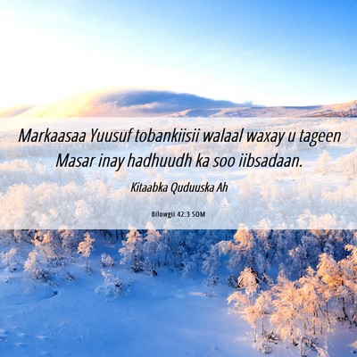 Picture 06 - Bilowgii 42:3 SOM - Markaasaa Yuusuf tobankiisii walaal waxay u - Bible Verse Picture
