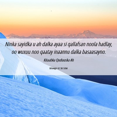 Picture 06 - Bilowgii 42:30 SOM - Ninka sayidka u ah dalka ayaa si qallafsan noola - Bible Verse Picture