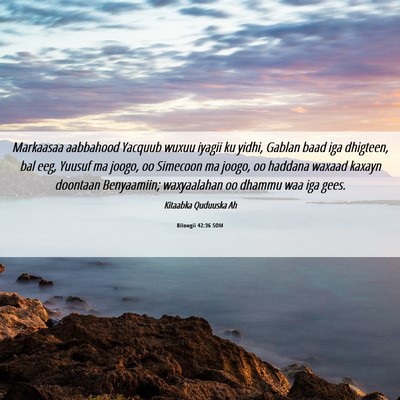 Picture 06 - Bilowgii 42:36 SOM - Markaasaa aabbahood Yacquub wuxuu iyagii ku - Bible Verse Picture