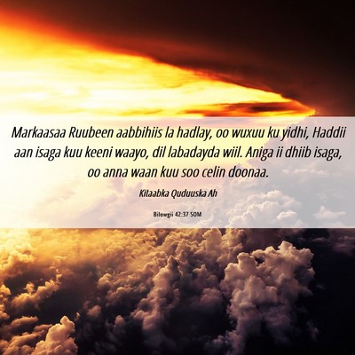 Picture 06 - Bilowgii 42:37 SOM - Markaasaa Ruubeen aabbihiis la hadlay, oo wuxuu - Bible Verse Picture