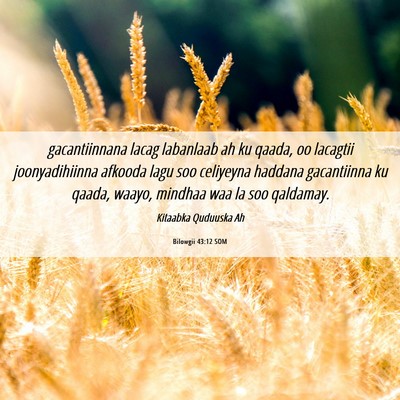 Picture 06 - Bilowgii 43:12 SOM - gacantiinnana lacag labanlaab ah ku qaada, oo - Bible Verse Picture