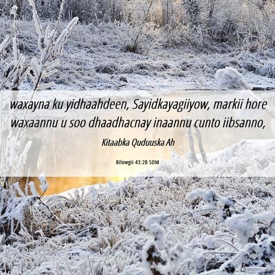 Picture 06 - Bilowgii 43:20 SOM - waxayna ku yidhaahdeen, Sayidkayagiiyow, markii - Bible Verse Picture