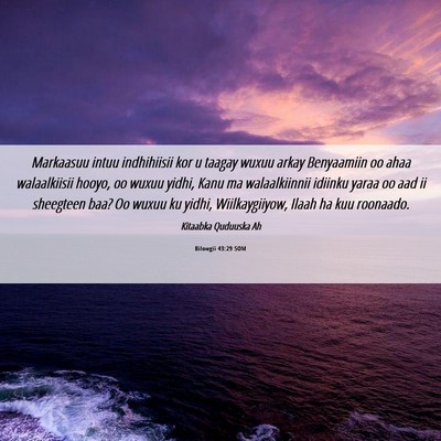 Picture 06 - Bilowgii 43:29 SOM - Markaasuu intuu indhihiisii kor u taagay wuxuu - Bible Verse Picture