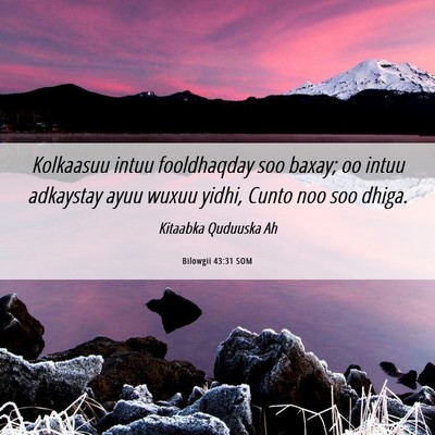 Picture 06 - Bilowgii 43:31 SOM - Kolkaasuu intuu fooldhaqday soo baxay; oo intuu - Bible Verse Picture