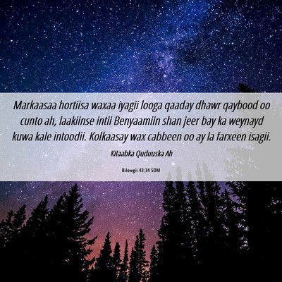 Picture 06 - Bilowgii 43:34 SOM - Markaasaa hortiisa waxaa iyagii looga qaaday - Bible Verse Picture