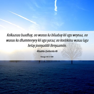 Picture 06 - Bilowgii 44:12 SOM - Kolkaasuu baadhay, oo wuxuu ka bilaabay kii ugu - Bible Verse Picture