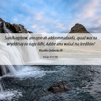 Picture 06 - Bilowgii 44:19 SOM - Sayidkaygiiyow, annagoo ah addoommadaada, ayaad - Bible Verse Picture