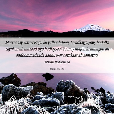 Picture 06 - Bilowgii 44:7 SOM - Markaasay waxay isagii ku yidhaahdeen, - Bible Verse Picture