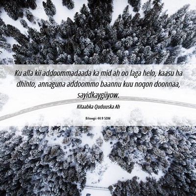 Picture 06 - Bilowgii 44:9 SOM - Ku alla kii addoommadaada ka mid ah oo laga helo, - Bible Verse Picture