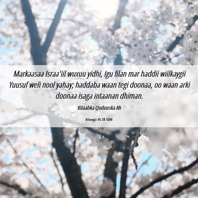 Picture 06 - Bilowgii 45:28 SOM - Markaasaa Israa'iil wuxuu yidhi, Igu filan mar - Bible Verse Picture