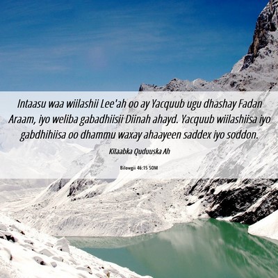 Picture 06 - Bilowgii 46:15 SOM - Intaasu waa wiilashii Lee'ah oo ay Yacquub ugu - Bible Verse Picture