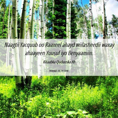 Picture 06 - Bilowgii 46:19 SOM - Naagtii Yacquub oo Raaxeel ahayd wiilasheedii - Bible Verse Picture