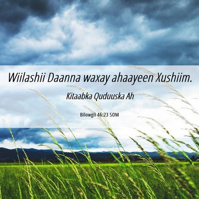 Picture 06 - Bilowgii 46:23 SOM - Wiilashii Daanna waxay ahaayeen - Bible Verse Picture