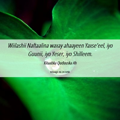 Picture 06 - Bilowgii 46:24 SOM - Wiilashii Naftaalina waxay ahaayeen Yaxse'eel, - Bible Verse Picture