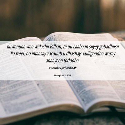 Picture 06 - Bilowgii 46:25 SOM - Kuwanuna waa wiilashii Bilhah, tii uu Laabaan - Bible Verse Picture