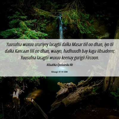 Picture 06 - Bilowgii 47:14 SOM - Yuusufna wuxuu ururiyey lacagtii dalka Masar tiil - Bible Verse Picture