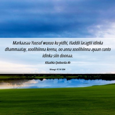 Picture 06 - Bilowgii 47:16 SOM - Markaasaa Yuusuf wuxuu ku yidhi, Haddii lacagtii - Bible Verse Picture