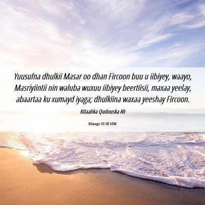 Picture 06 - Bilowgii 47:20 SOM - Yuusufna dhulkii Masar oo dhan Fircoon buu u - Bible Verse Picture