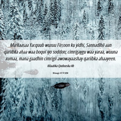 Picture 06 - Bilowgii 47:9 SOM - Markaasaa Yacquub wuxuu Fircoon ku yidhi, - Bible Verse Picture
