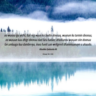 Picture 06 - Bilowgii 48:4 SOM - oo wuxuu igu yidhi, Bal eeg waan ku badin doonaa, - Bible Verse Picture