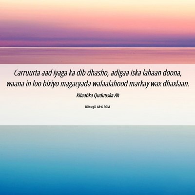 Picture 06 - Bilowgii 48:6 SOM - Carruurta aad iyaga ka dib dhasho, adigaa iska - Bible Verse Picture