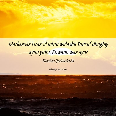 Picture 06 - Bilowgii 48:8 SOM - Markaasaa Israa'iil intuu wiilashii Yuusuf - Bible Verse Picture