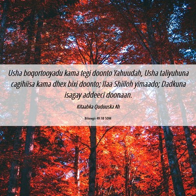 Picture 06 - Bilowgii 49:10 SOM - Usha boqortooyadu kama tegi doonto Yahuudah, Usha - Bible Verse Picture