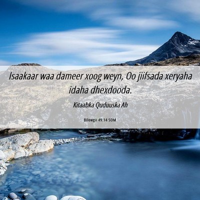 Picture 06 - Bilowgii 49:14 SOM - Isaakaar waa dameer xoog weyn, Oo jiifsada - Bible Verse Picture