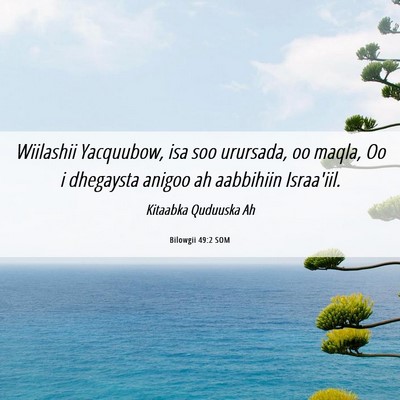Picture 06 - Bilowgii 49:2 SOM - Wiilashii Yacquubow, isa soo urursada, oo maqla, - Bible Verse Picture