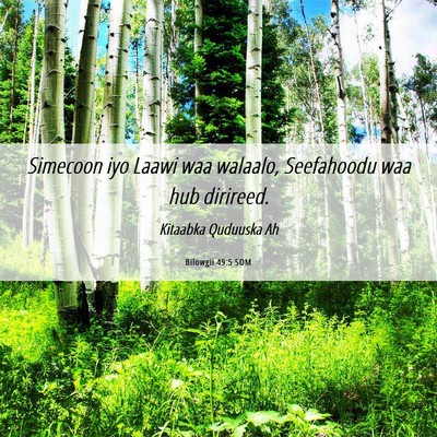 Picture 06 - Bilowgii 49:5 SOM - Simecoon iyo Laawi waa walaalo, Seefahoodu waa - Bible Verse Picture