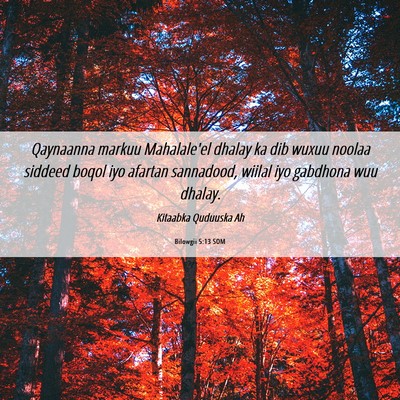 Picture 06 - Bilowgii 5:13 SOM - Qaynaanna markuu Mahalale'el dhalay ka dib wuxuu - Bible Verse Picture