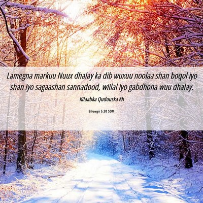 Picture 06 - Bilowgii 5:30 SOM - Lamegna markuu Nuux dhalay ka dib wuxuu noolaa - Bible Verse Picture
