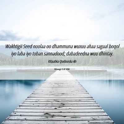 Picture 06 - Bilowgii 5:8 SOM - Wakhtigii Seed noolaa oo dhammuna wuxuu ahaa - Bible Verse Picture