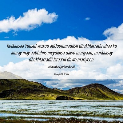 Picture 06 - Bilowgii 50:2 SOM - Kolkaasaa Yuusuf wuxuu addoommadiisii - Bible Verse Picture