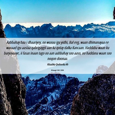 Picture 06 - Bilowgii 50:5 SOM - Aabbahay baa i dhaariyey, oo wuxuu igu yidhi, Bal - Bible Verse Picture