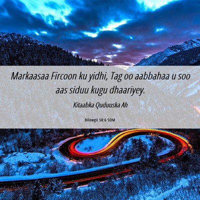 Picture 06 - Bilowgii 50:6 SOM - Markaasaa Fircoon ku yidhi, Tag oo aabbahaa u soo - Bible Verse Picture