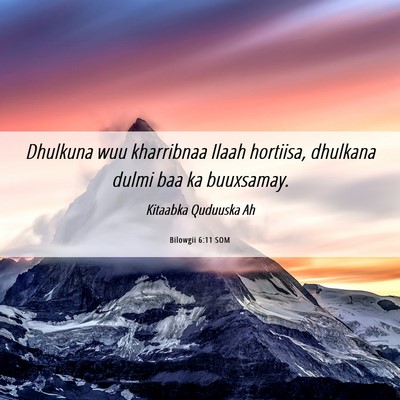 Picture 06 - Bilowgii 6:11 SOM - Dhulkuna wuu kharribnaa Ilaah hortiisa, dhulkana - Bible Verse Picture