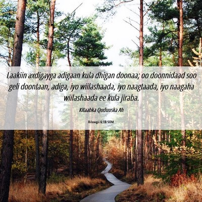 Picture 06 - Bilowgii 6:18 SOM - Laakiin axdigayga adigaan kula dhigan doonaa; oo - Bible Verse Picture