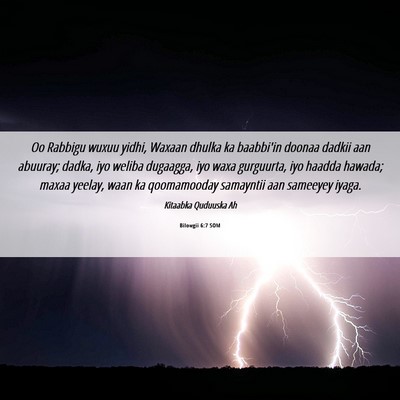 Picture 06 - Bilowgii 6:7 SOM - Oo Rabbigu wuxuu yidhi, Waxaan dhulka ka - Bible Verse Picture