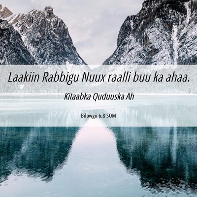 Picture 06 - Bilowgii 6:8 SOM - Laakiin Rabbigu Nuux raalli buu ka - Bible Verse Picture