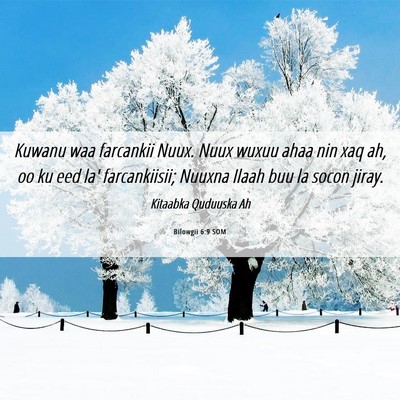 Picture 06 - Bilowgii 6:9 SOM - Kuwanu waa farcankii Nuux. Nuux wuxuu ahaa nin - Bible Verse Picture